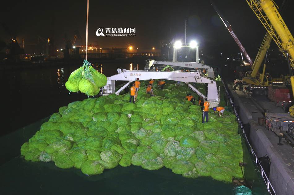 包含青岛队胜出关键战役，稳固中游位置的词条