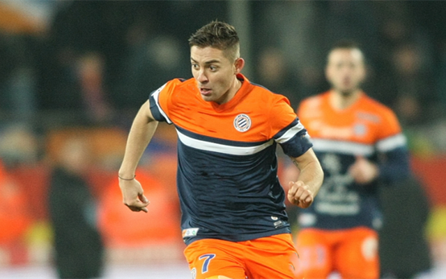 关于里昂取得连胜，法甲战绩逐渐回暖的信息